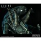 Alien Warrior Maquette - Aliens